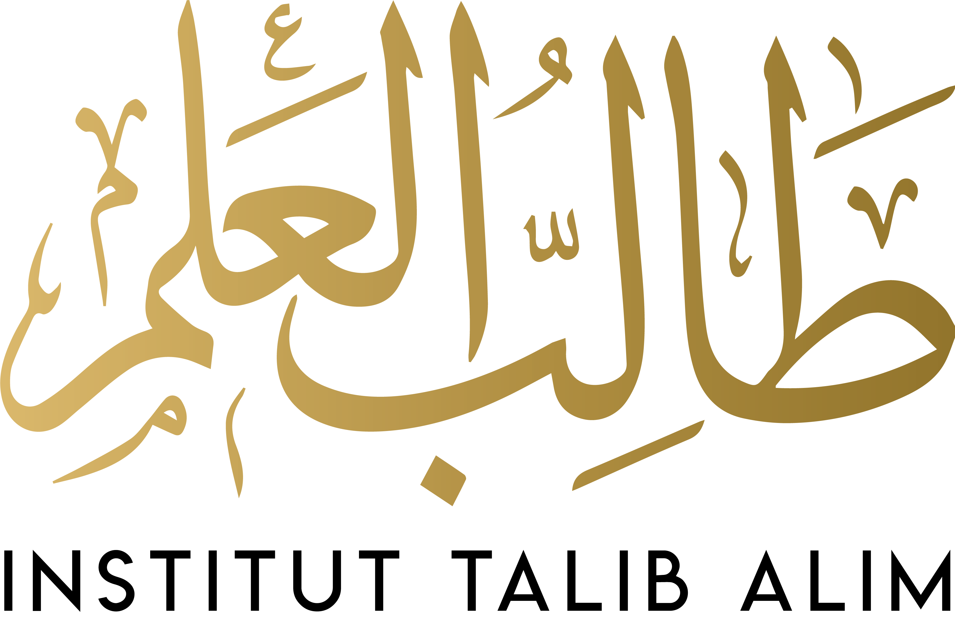 Institut Talib Alim